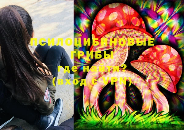 MESCALINE Аркадак
