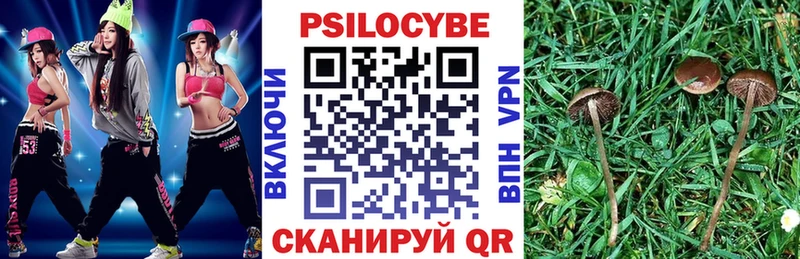 hydra онион  Сальск  Псилоцибиновые грибы Magic Shrooms 
